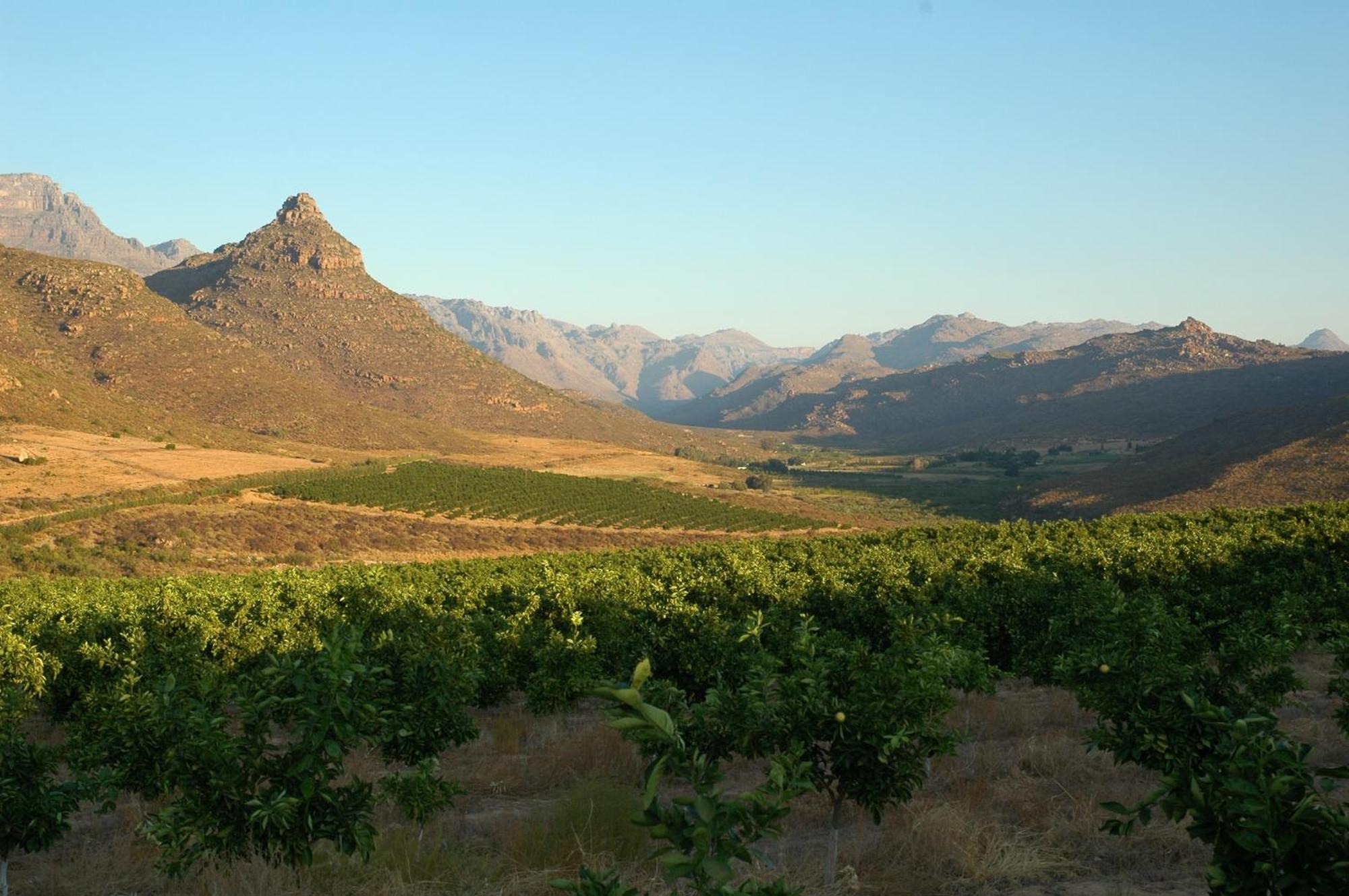 Klein Boschkloof Villa Clanwilliam Exterior photo
