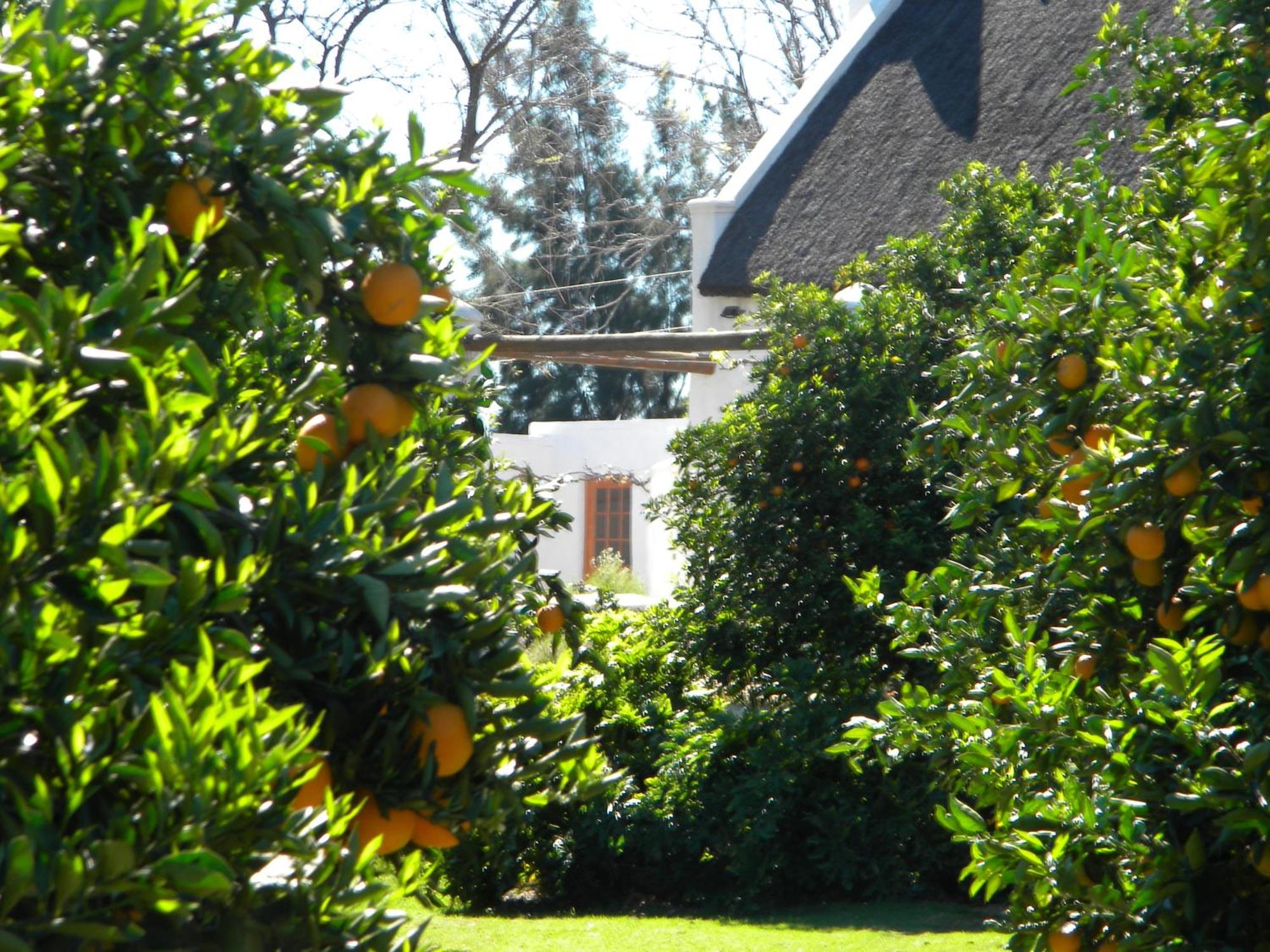Klein Boschkloof Villa Clanwilliam Exterior photo